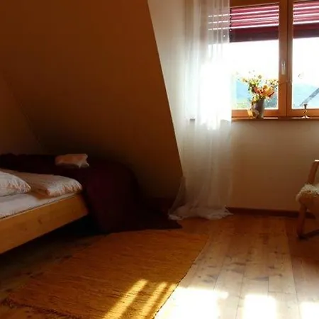 Apartment Ferienwohnung Wingertshaus
