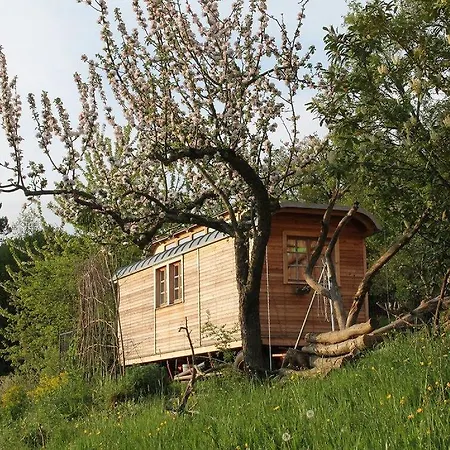 Apartment Ferienwohnung Wingertshaus
