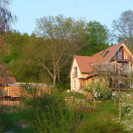 Apartment Ferienwohnung Wingertshaus *